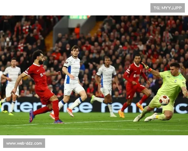 美因茨七人伤病潮来袭，霍勒巴赫赛季报销保级战面临人员危机